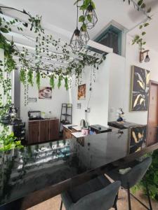 ジョージタウンにあるBarnett Georgetown Near Island Hospital Room 2のダイニングルーム(ガラスのテーブル、植物付)