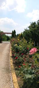 a garden of flowers on the side of a road at Apartmani Neven in Irig