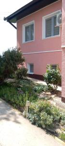 a pink house with bushes in front of it at Apartmani Neven in Irig