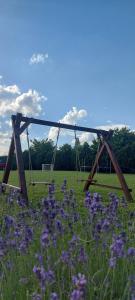 a swing in a field with purple flowers at Apartmani Neven in Irig