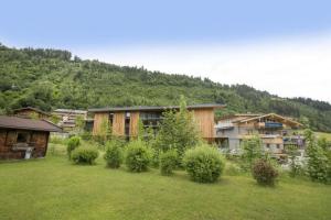 a group of houses in a field with a mountain at Residenz Wildkogelbahnen Top 16 in Neukirchen am Großvenediger