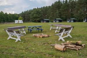 Przyroda w pobliżu tego hostelu