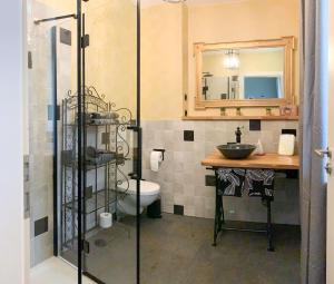 a bathroom with a shower and a sink and a toilet at Zur Alten Schneiderei Kamenz in Kamenz