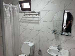 a bathroom with a toilet and a sink and a mirror at Mzıurı House 1 in Batumi