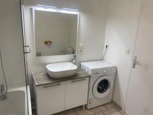 a bathroom with a sink and a washing machine at Gite du sapin - Lac de Vouglans - SPA Privatif in Orgelet