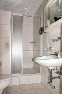 a bathroom with a shower and a sink and a toilet at Gästezimmer in kleiner Ferienanlage mit vielen Freizeitmöglichkeiten in Harzgerode