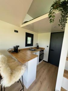 Kuchyň nebo kuchyňský kout v ubytování TinyHouse Noorderlicht