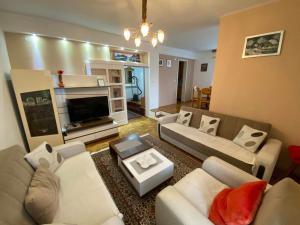 a large living room with couches and a television at Holiday Home Ilidza Ella in Sarajevo