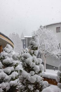 Hotel Garni Ehrenreich v zime