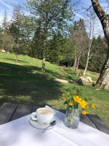 Zahrada ubytování Das Schwarzwaldhotel