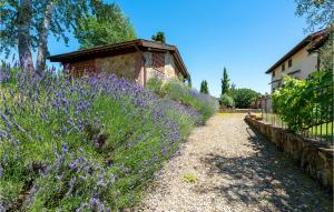 A garden outside 2 Bedroom Beautiful Apartment In Poppi