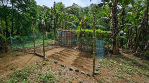 a cage in the middle of a banana plantation at Eastdee Camping Ground in Lidlidda