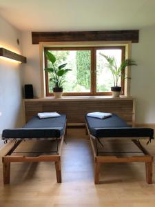 Fotografie z fotogalerie ubytování Das Schwarzwaldhotel v destinaci Todtmoos