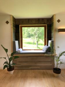 Fotografie z fotogalerie ubytování Das Schwarzwaldhotel v destinaci Todtmoos