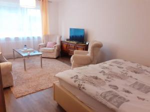 TV a/nebo společenská místnost v ubytování Ferienwohnung am Kurpark, Gailingen