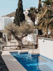 a swimming pool with a tree in the background at Hotel MC San José in San José