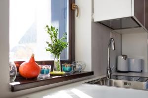 A kitchen or kitchenette at Apartment Primulka