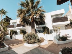 a palm tree in front of a white building at Hotel MC San José in San José