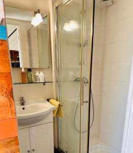 ein Badezimmer mit Dusche und Waschbecken in der Unterkunft Studio avec loggia, piscine et parking in Montferrier-sur-Lez + 4 Fotos