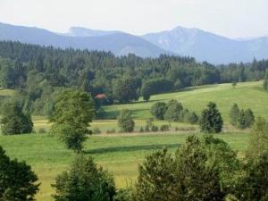 Peisaj natural din apropierea acestui apartament