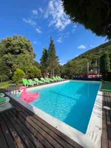 a swimming pool with a pig in the water at Casa Ele in Frăsinet +40 photos