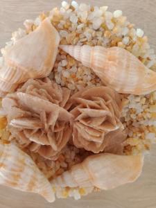 Cibo presso l'appartamento o nelle vicinanze