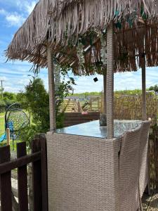 Příroda nedaleko chaty + 100 fotografií