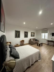 ein Schlafzimmer mit einem großen Bett und einer Couch in der Unterkunft Calle Mayor GAM in Alicante