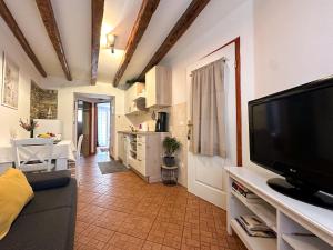a living room with a couch and a tv at Apartmani Barica in Novigrad Istria
