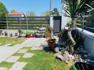 Zahrada ubytování Artemida Suites