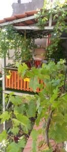 Aed väljaspool majutusasutust حنضلةHandala Guest House