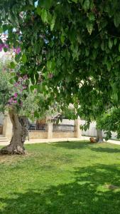Zahrada ubytování Villa Guajira