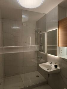 a bathroom with a shower and a sink and a mirror at Vanagupės 24 in Palanga