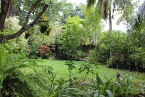 a garden with green grass and trees and plants at Natures Bliss Garden Stay in Ja-Ela