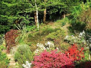 马尔科-德卡纳维泽斯Traumhaftes Landhaus mit Zugang zum Fluss的种满五颜六色的花卉和树木的花园