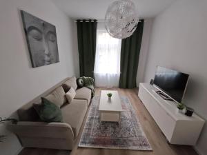 a living room with a couch and a tv at Pfalz Oase in Landau in der Pfalz