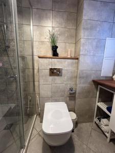 Ένα μπάνιο στο Appartement in Pomorie mit Garten und gemeinsamem Pool +14 φωτογραφίες