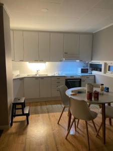 Kuchyň nebo kuchyňský kout v ubytování SamiCity Hotel As