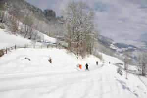 Smaragdresort Top 4.3 v zime