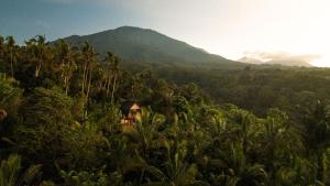 a house in the jungle with mountains in the background at Bali Jungle Cabin in Jatiluwih