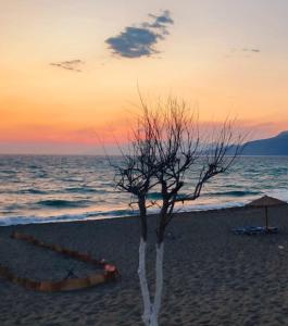 Foto dalla galleria di Ilios kalamaki maria a Kalamaki