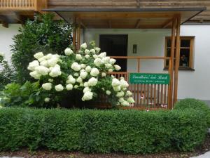 Zahrada ubytování Tolles Appartement in Marktgemeinde Übelbach mit Garten