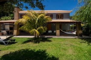 una casa con una palma di fronte di Vila Esperança by An Island Apart a Calheta