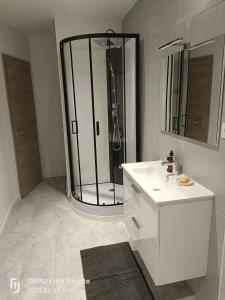 ein Badezimmer mit Dusche und weißem Waschbecken in der Unterkunft Les 4 vents in Belfort + 51 Fotos