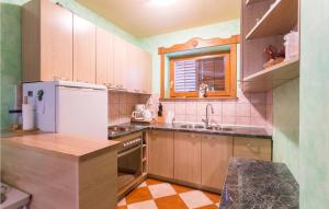 eine Küche mit Holzschränken und einem weißen Kühlschrank in der Unterkunft 3 Bedroom Gorgeous Home In Cacinci in Čačinci + 17 Fotos