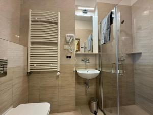 切霍齐内克Willa Zachęta Guesthouse&Coffee的配有马桶、水槽和淋浴的浴室