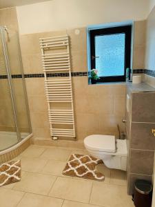 a bathroom with a toilet and a shower and a window at Naturparadies vor den Toren Hamburgs in Halstenbek