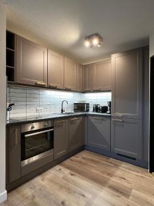 a kitchen with gray cabinets and a sink at Luxuriöses, renoviertes Haus mit Garten, Gratis WLAN, Hund willkommen in Zandt