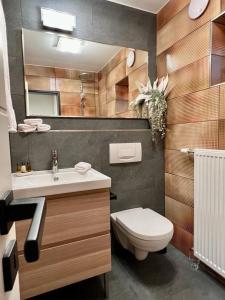 a bathroom with a sink and a toilet and a mirror at Luxuriöses, renoviertes Haus mit Garten, Gratis WLAN, Hund willkommen in Zandt