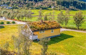 una vista sul tetto di una casa con tetto in erba di Gorgeous Home In Fjærland a Fjærland